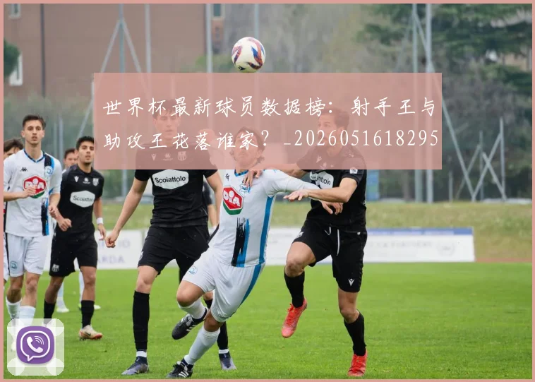 世界杯最新球员数据榜：射手王与助攻王花落谁家？_20260516182957_20260703203520